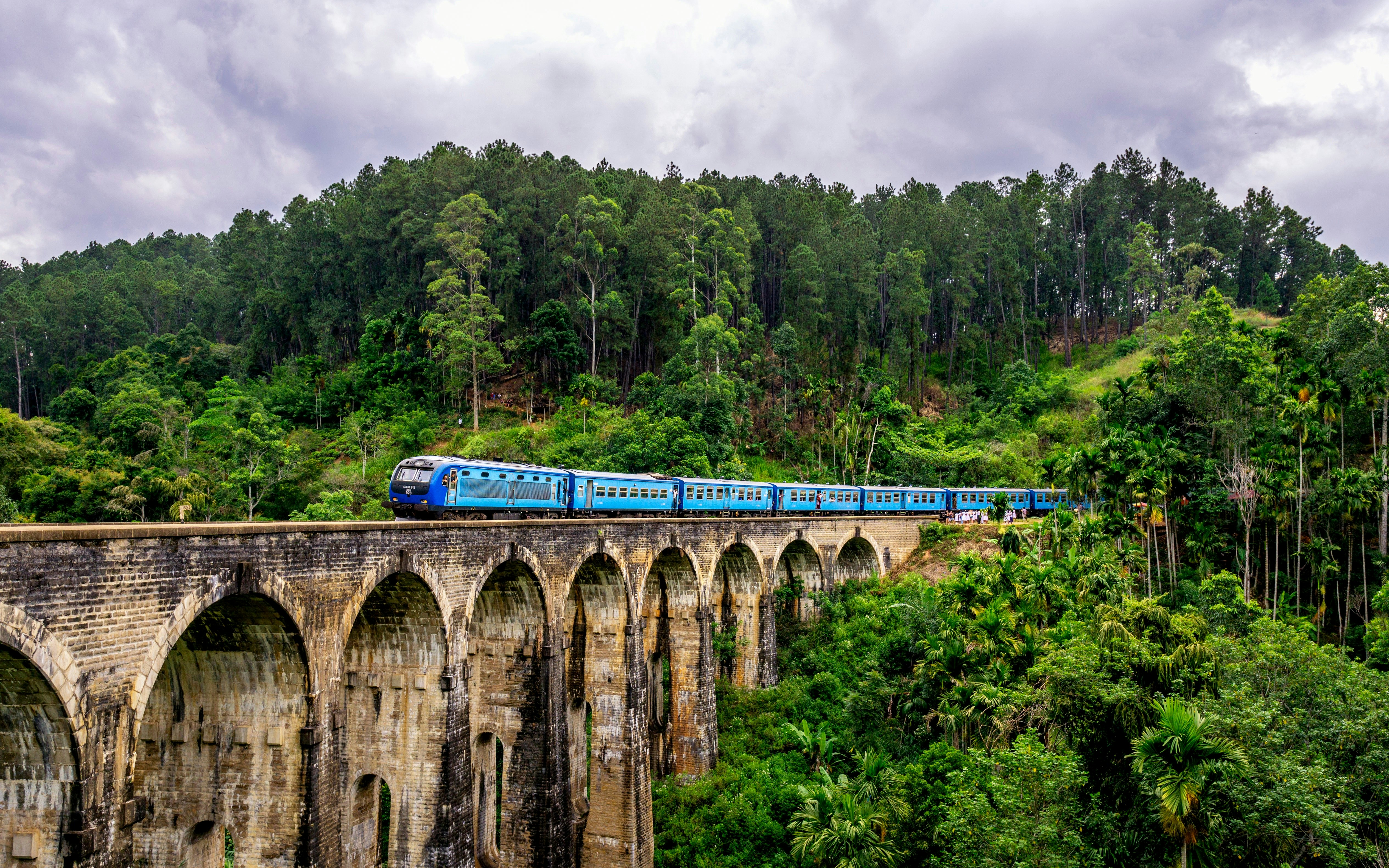 Ella Train